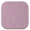 Mexico Lilac